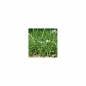 Preview: Photo Background - meadow - 20x10